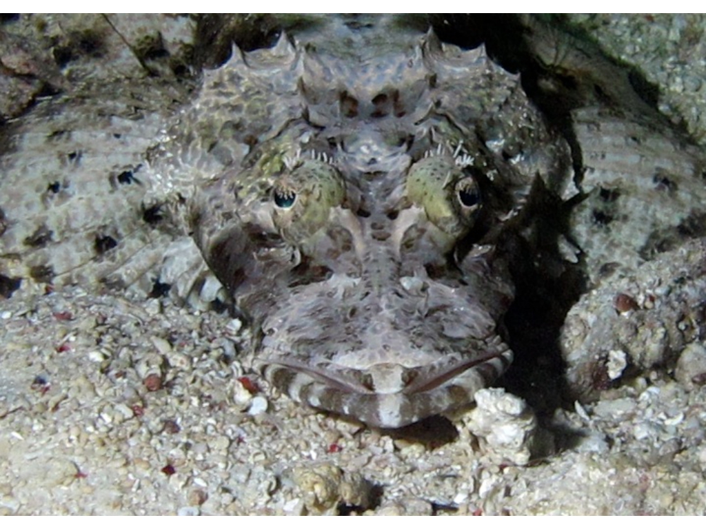 IMG_7075 - Version 2 IMG_7075 - Version 2